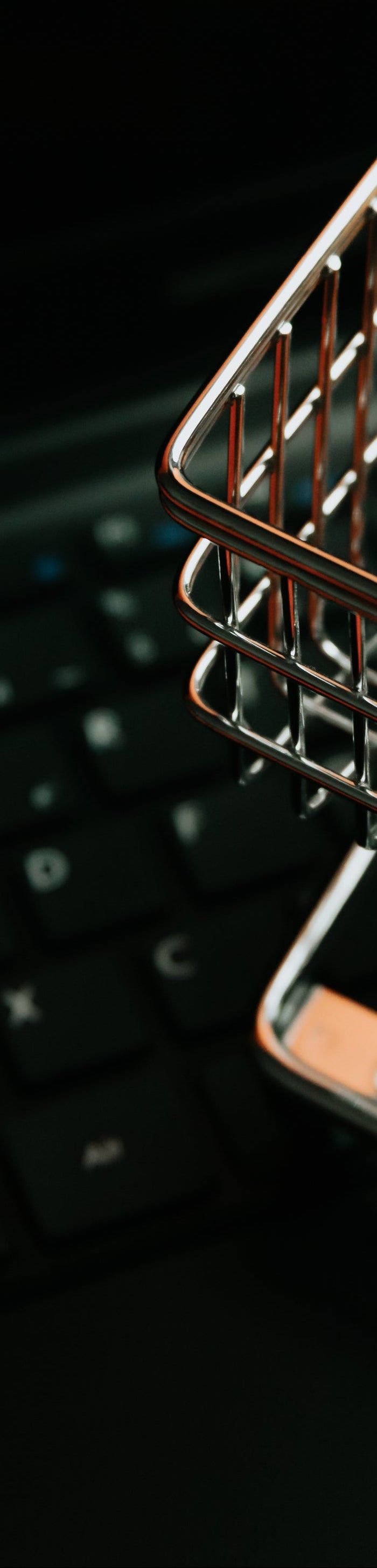 <h1>¿Quiénes Somos?</h1>